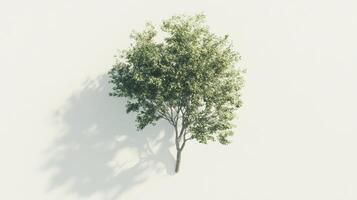 hyper realistic isometric view of tree showcasing vibrant green leaves and intricate branches, casting soft shadow on light background photo