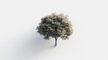 hyper realistic isometric view of tree with lush foliage, standing alone against minimalistic background, evokes sense of tranquility and nature beauty photo