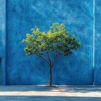 vibrant tree stands against smooth blue wall, casting shadows on ground. contrast of green leaves and blue background creates serene atmosphere photo