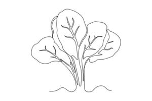 Hand-drawn spinach continuous outline . Spinach plant one line art drawing. vector