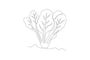 Spinach plant continuous line art drawing. Spinach vegetable outline isolated on white background. vector