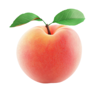 Isolated 3D Peach Fruit Icon for Graphic Design and Illustration Use png