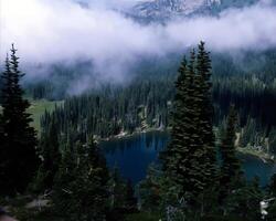 Serene Mountain Landscape with Evergreen Trees and Tranquil Watercourse Under a Cloudy Sky photo
