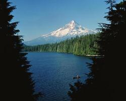 Serene Mountain Lake Surrounded by Larch Trees Under a Clear Sky photo