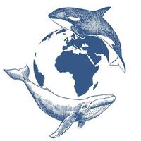 emblem for Whale Day or Ocean Day. Line drawing of killer whale and humpback whale against the background of planet Earth. Concept of conservation of nature and diversity of marine mammals. vector