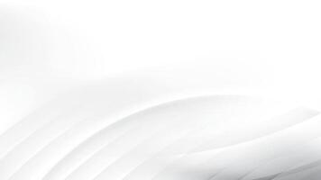 Abstract white and gray color, modern design stripes background with curve lines. illustration. vector