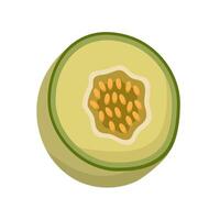 Flat Illustration Of Melon Fruit vector