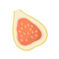 Flat Illustration Of Fig Fruit vector