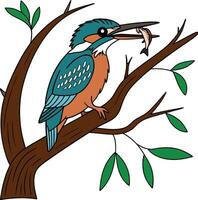A Kingfisher bird has a small fish in its mouth sitting on tree branch vector