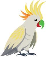 cockatoo on a transparent background vector