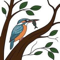 A Kingfisher bird sitting on tree Branch vector