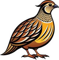 Drawing of a quail bird vector