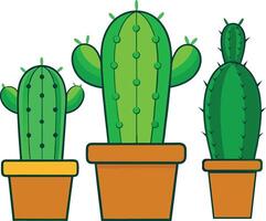 A digital illustration of three potted cactus plants vector