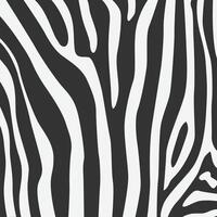 Zebra Skin, abstract waves background, stripes background vector