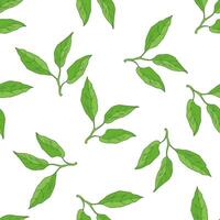 Hand-Drawn Lemon Leaf Pattern. A Stylish Touch for Your Projects vector