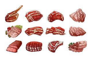Hand-Drawn Meat Sketch Set. Colored and Monochrome Beef, Ham, and Pork vector
