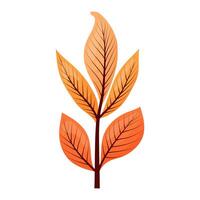 autumn colored bright leaf highlighted vector