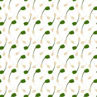 Sprouted seeds with green sprouts and root Seamless Pattern. Healthy Eating minimalistic background. Isolated illustration Wrapping, wallpaper or web promo, cards, banner, label, booklet, post vector