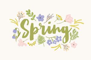 Spring word handwritten with elegant cursive calligraphic font and surrounded by beautiful blooming flowers and leaves. Gorgeous seasonal lettering isolated on white background. illustration vector