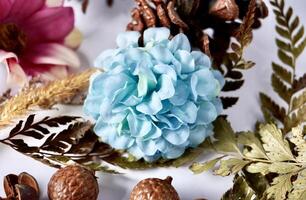 Mixed decorative colorful small flowers and dry leaves display object isolated on horizontal white background. photo