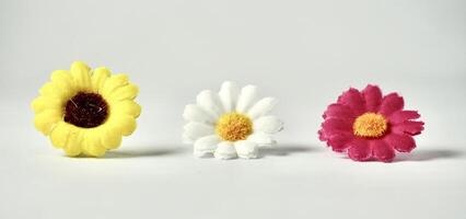 Decorative colorful three small flowers display object isolated on horizontal white background. photo