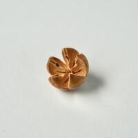 Decorative one bleached schima wallichii or puspa seed object isolated on square white background. photo