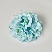 Decorative colorful small one blue hydrangea flowers display object isolated on square white background. photo