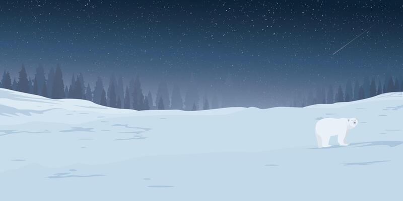 Winter landscape at night with lonely Polar bear covered by white snow have silhouette pine forest and starry sky background graphic illustration.