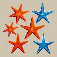 A set of six starfish with different colors and sizes vector