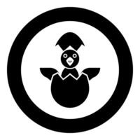 Chicks hatch from the egg baby bird cracked eggshell icon in circle round black color illustration image solid outline style vector