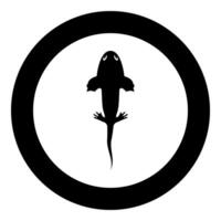 Axolotl ambystoma mexicanum overhead view icon in circle round black color illustration image solid outline style vector