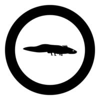 Axolotl ambystoma mexicanum view side icon in circle round black color illustration image solid outline style vector