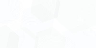 Abstract white and gray background. smooth abstract background, blurred pattern, line shape decoration. vector