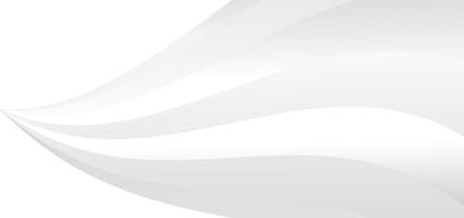 abstract white background with gradient color and Abstract white and gray background. vector