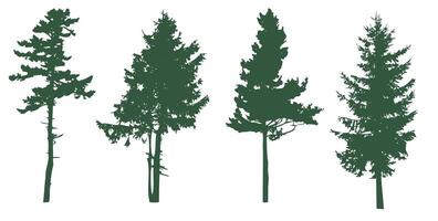 Silhouettes of pine trees. An image of conifers in green, symbolizing nature vector