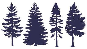 Silhouettes of coniferous trees - images of various coniferous trees in the form of dark silhouettes vector