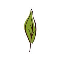 Green leaf of basil in simple flat design. Ideal for natural, organic, and eco friendly themes. Isolated on white background. vector
