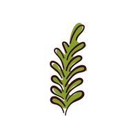 Fresh rosemary sprig in flat style. Perfect for cooking theme, herbal design and food related projects. Isolated on a white background. vector
