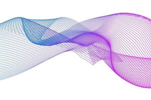 Background of blue and purple gradient wave curve lines vector