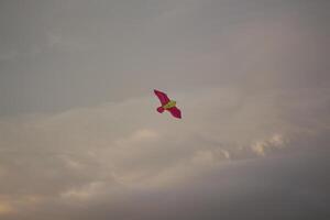 A kite flying in the sky photo