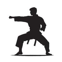 silhouette karate being training vector