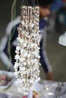 A bunch of shells on a table photo