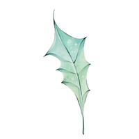 Watercolor holly green leaf, isolated. New year design element, christmas botanic. clip art vector