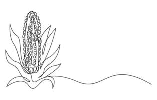 Continuous one line drawing of corn crop for farm vector