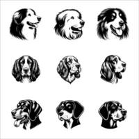head of dog pyrenean sheepdog, basset fauve of britany and bavarian mountain hound vector