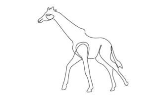 Premium one continuous outline Giraffe drawing on white background vector