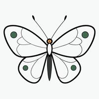 A white and green butterfly with black spots vector