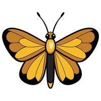 A cartoon butterfly with black and yellow wings vector