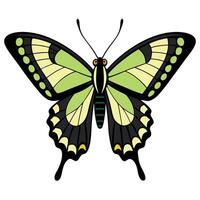 A butterfly with black and green wings vector