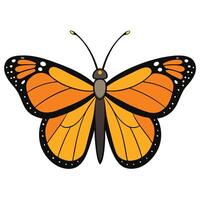 A monarch butterfly is shown on a white background vector